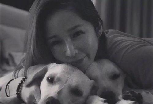 狗咬人最新爆料,最新爆料揭露惊人内幕  第3张