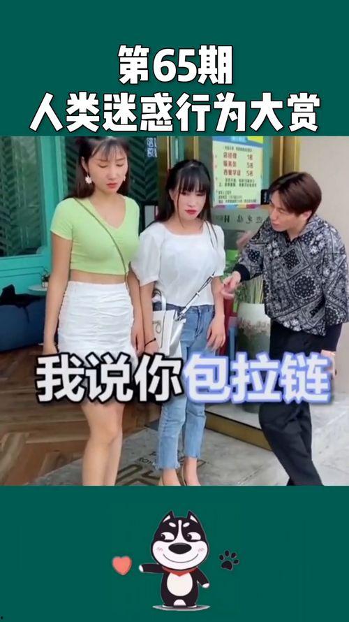 爆料段子系列视频,爆料段子系列视频深度解析  第1张